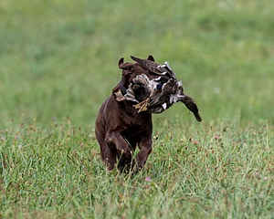 20200808-JHL-0017.jpg