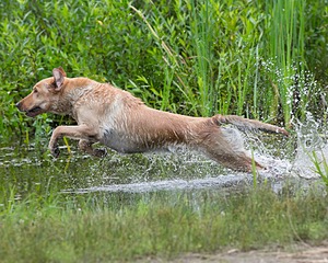 20130713-MHB2-0325.jpg