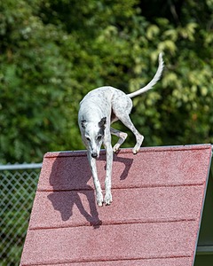20200819-0713.jpg