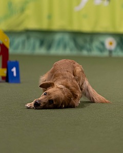 20260221-0205.jpg