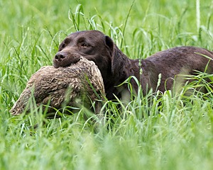 20160604-SEAL-1189.jpg