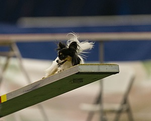 20150321-LEAP-1734.jpg
