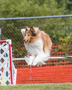 20200819-1419.jpg
