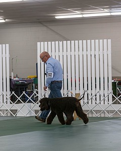 20190514-RA-0235.jpg