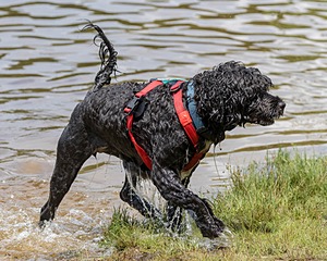 "Nauti" & Mary Ellen