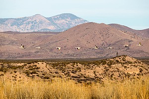 20151210-0314.jpg