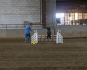 20190513-AG-0137.jpg