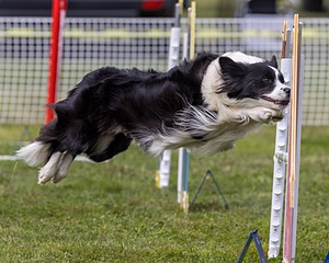 20230916-PVKC-2053.jpg
