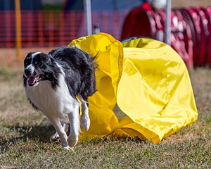 20160618-CCKC-0078.jpg