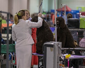 20190111-ASC-0011.jpg