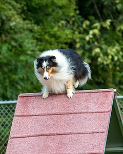 20200819-0260.jpg