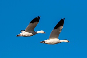 20151206-3149.jpg