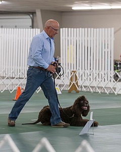 20190514-RA-0270.jpg