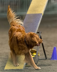 Pup-Pup Beaulieu