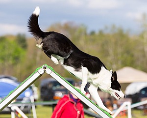 20160515-NEAT-0030.jpg
