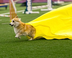 20150322-LEAP-0079.jpg