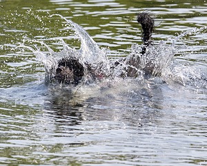 Tango Abbruzzese
