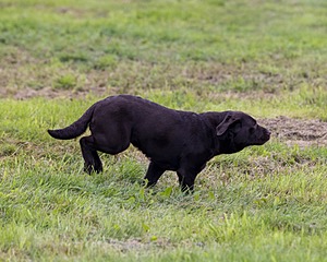 Winnie Patterson