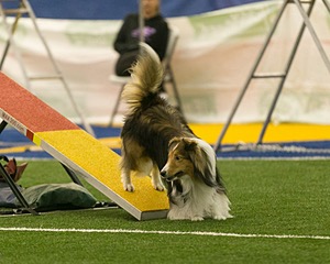 20150321-LEAP-1400.jpg