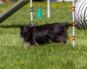 20170520-NEAT-1524.jpg