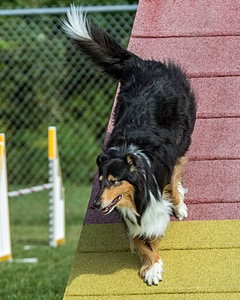 20200819-0577.jpg