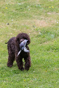 20190512-BD-0007.jpg