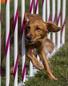 20230916-PVKC-1423.jpg