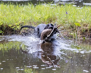 Lucy Ata