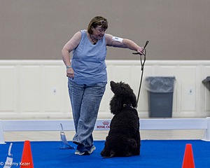 R15 - GCH CH LANDACRE'S NORDIC SAILOR DN CGC TKI