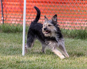 20200819-2900.jpg