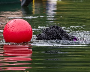 Winnie Lattrell