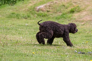 20190512-BD-0106.jpg