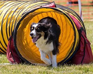 20180616-1220.jpg