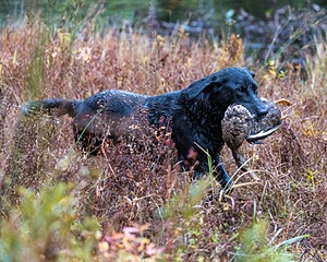 20241013-WCXW-0008.jpg