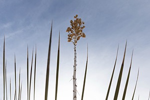 20151209-0097.jpg