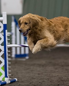 Pup-Pup Beaulieu