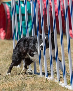 20160618-CCKC-1519.jpg