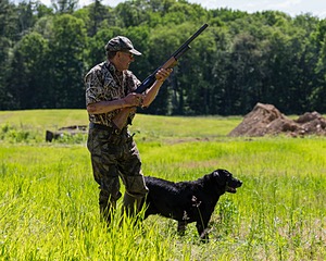 Ruger Bodine
