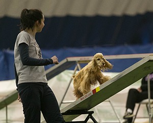 20150321-LEAP-1285.jpg