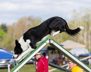 20160515-NEAT-0012.jpg