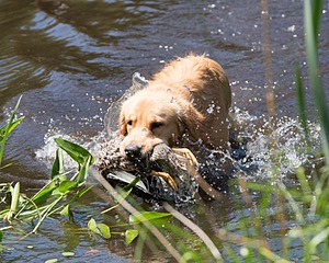 20130601-SHRW-0057.jpg
