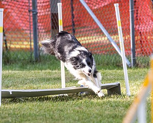 20200819-2874.jpg
