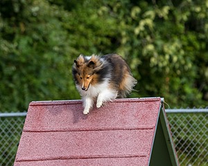 20200819-0146.jpg