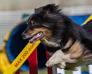 20230916-PVKC-1351.jpg