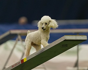 20150321-LEAP-1554.jpg