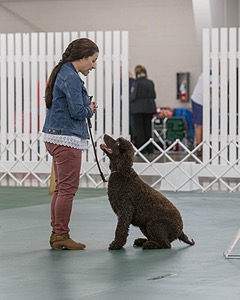 20190514-RA-0334.jpg