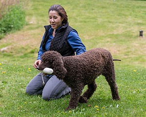 20190512-BD-0155.jpg