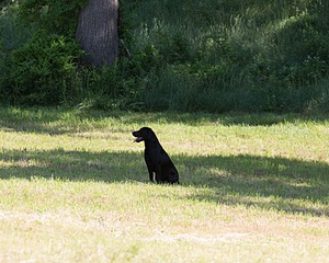 20130602-SEAL-0188.jpg