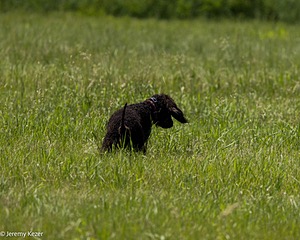 20220613-WD-0223.jpg