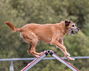 20200819-2363.jpg